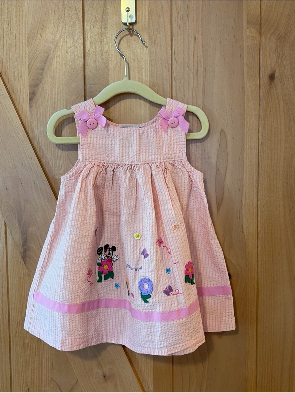 VTG Disney World Minnie Mouse Embroidered Stripe Floral Dress Size 18 Mo